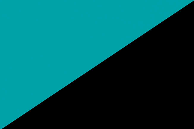 Individualist-Anarchism