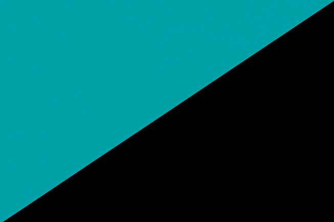 Individualist-Anarchism