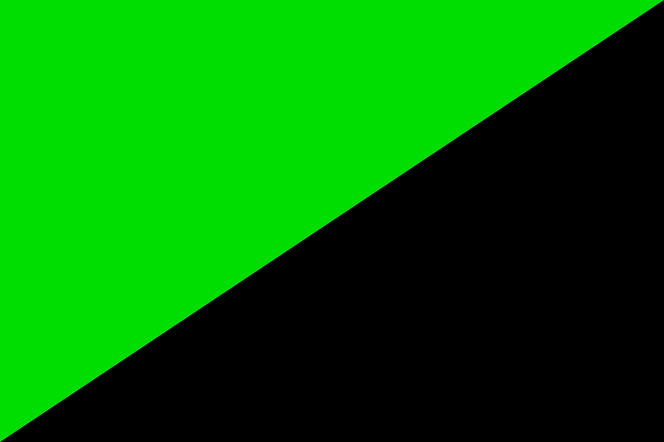 Eco-Anarchism